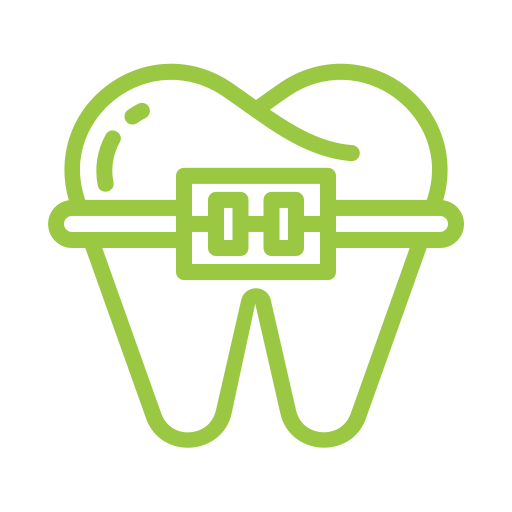 Metal Braces